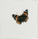 Ryan's witjes, Vlinder kleur 13x13cm.  27,95 (Handbeschilderd)  