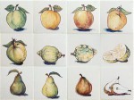 Ryan's witjes, Appels, peren en citroenen 13x13cm.  47,- p/st. (Handbeschilderd)  