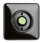 100973 Blanco, drukknopschakelaar + GITD