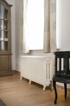 Antieke gietijzeren radiator bij Ryan's Antieke gietijzeren radiator bij Ryan's
