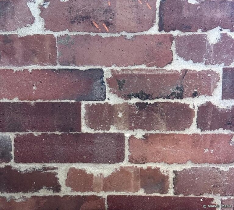 Oude waaltjes Violine